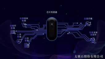 太極石纖維與智能科技融合，開啟品牌升級新篇章